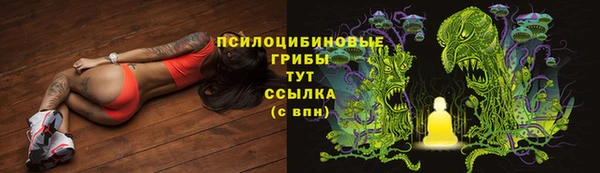 эйфоретик Алзамай
