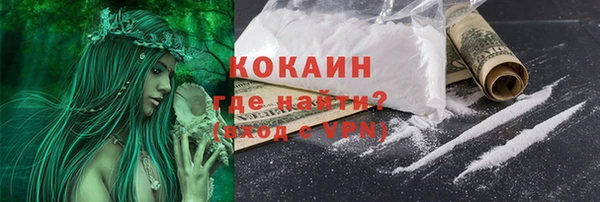 прущие грибы Пестово