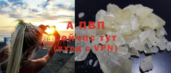 стафф Абинск