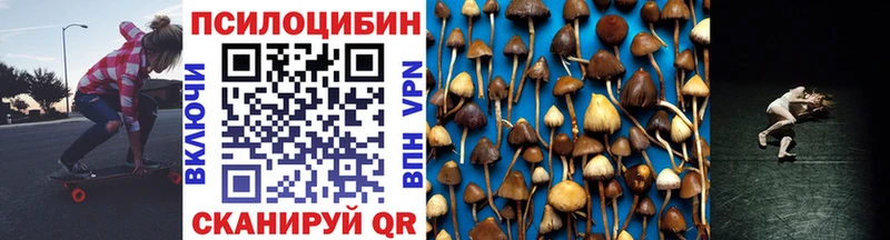 MEGA маркетплейс  магазин продажи   Духовщина  Псилоцибиновые грибы прущие грибы 
